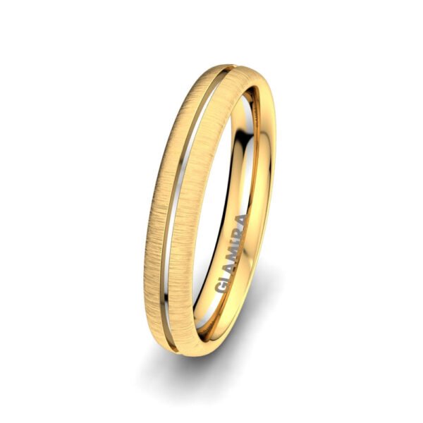 Twinset 14K Yellow & White Gold Men?s Wedding Ring Alluring Atmosphere 4 mm